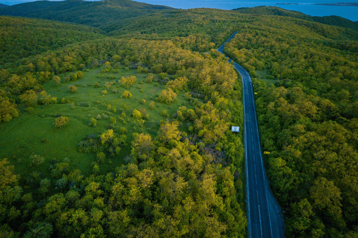 Explore Ireland's National Parks by Car: Best Routes and Tips